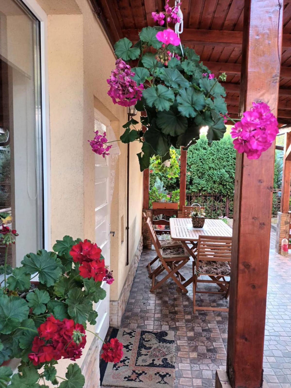 Casa Matei Villa Torda Kültér fotó