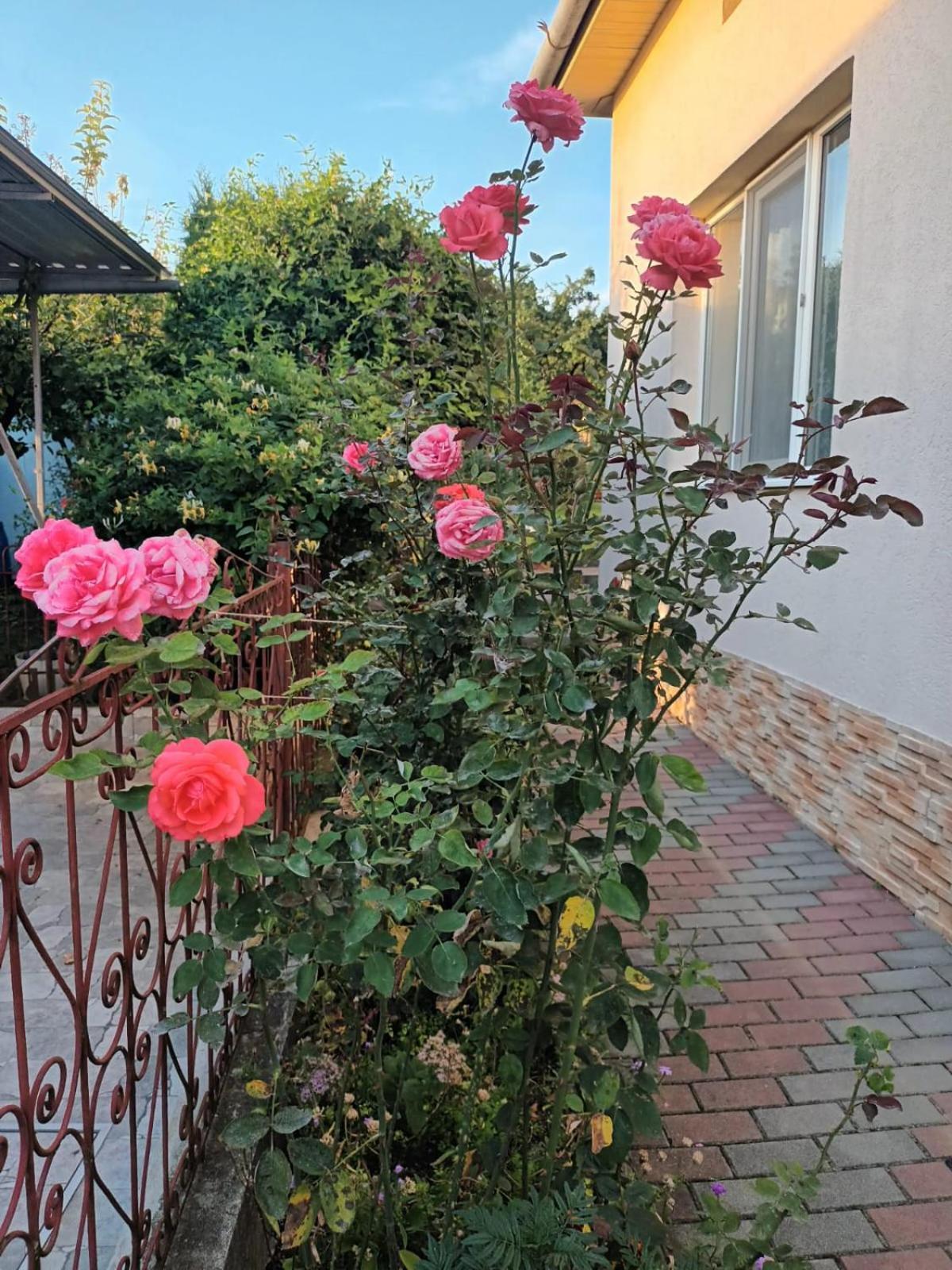 Casa Matei Villa Torda Kültér fotó
